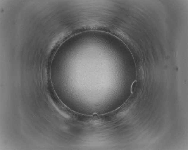 X0000076220638200610122051