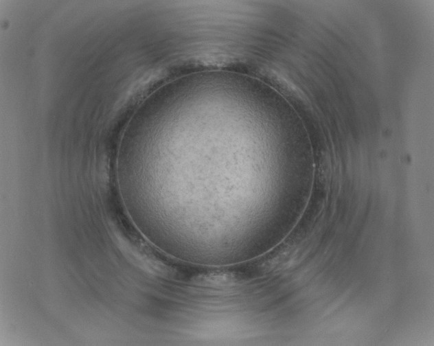 X0000076220639200610122051