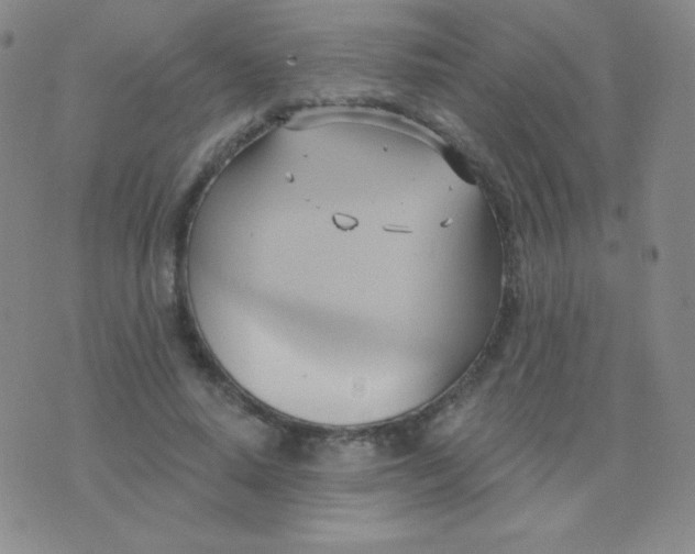 X0000076220640200610122051