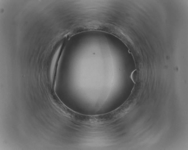 X0000076220641200610122051