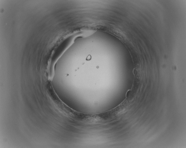 X0000076220642200610122051