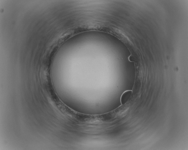 X0000076220643200610122051