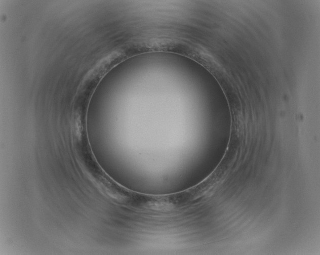 X0000076220644200610122051