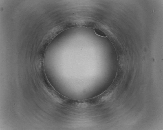 X0000076220645200610122051