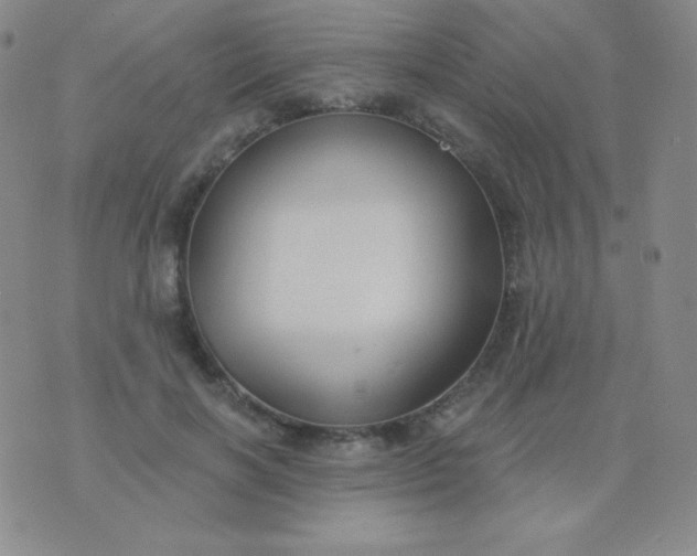 X0000076220646200610122051