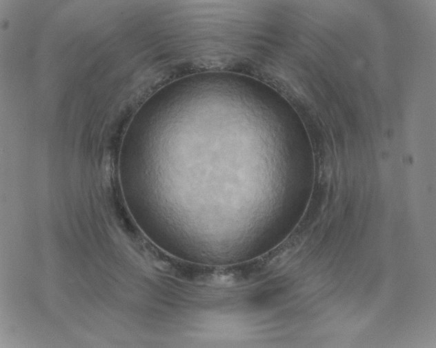 X0000076220647200610122051