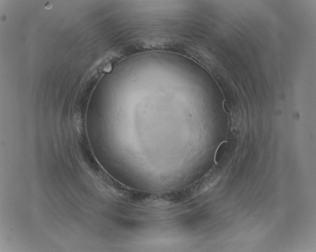 X0000076220648200610122051