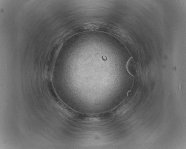 X0000076220649200610122051