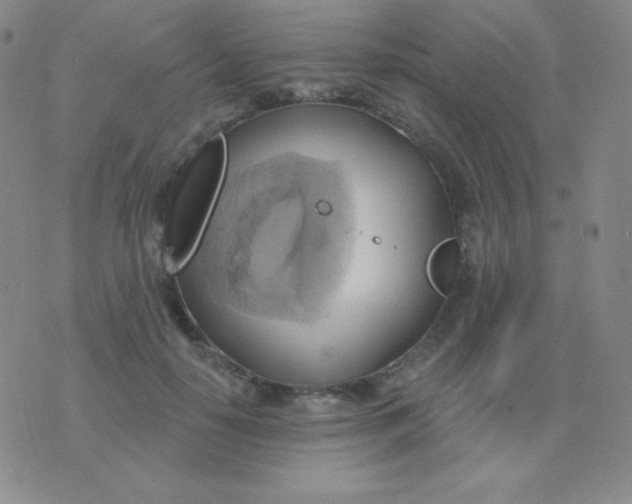 X0000076220650200610122051