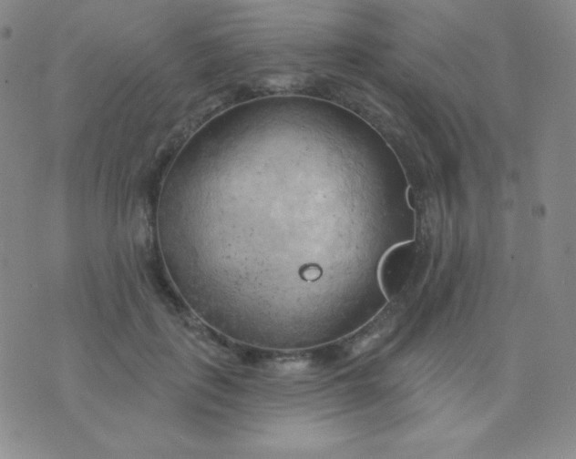 X0000076220651200610122051