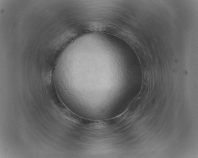 X0000076220652200610122051