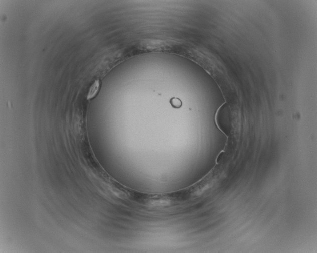 X0000076220653200610122051