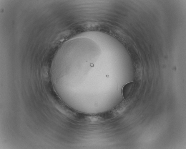 X0000076220654200610122051