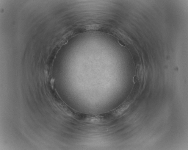 X0000076220655200610122051