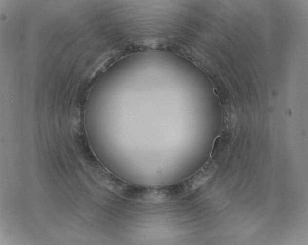 X0000076220656200610122051