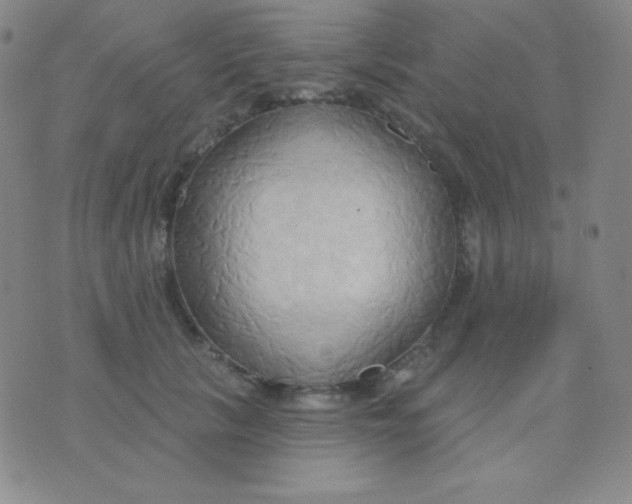 X0000076220657200610122051