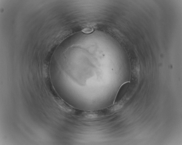 X0000076220658200610122051