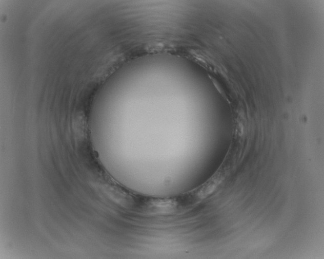 X0000076220659200610122051