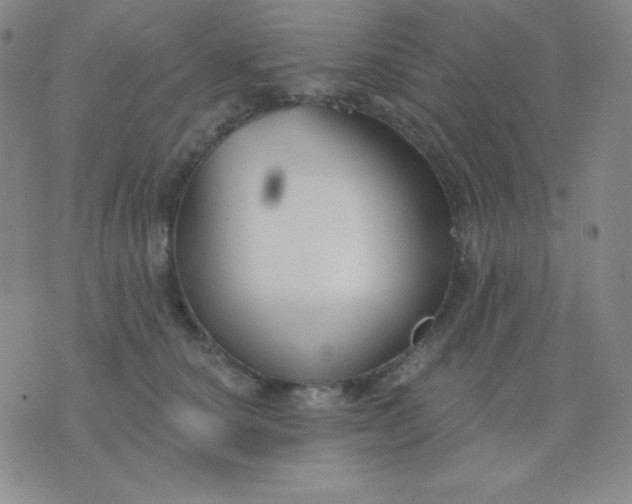 X0000076220660200610122051