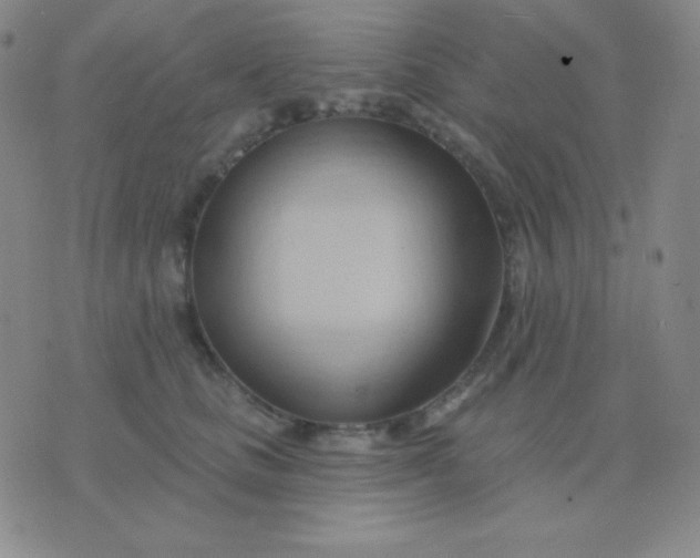 X0000076220661200610122051