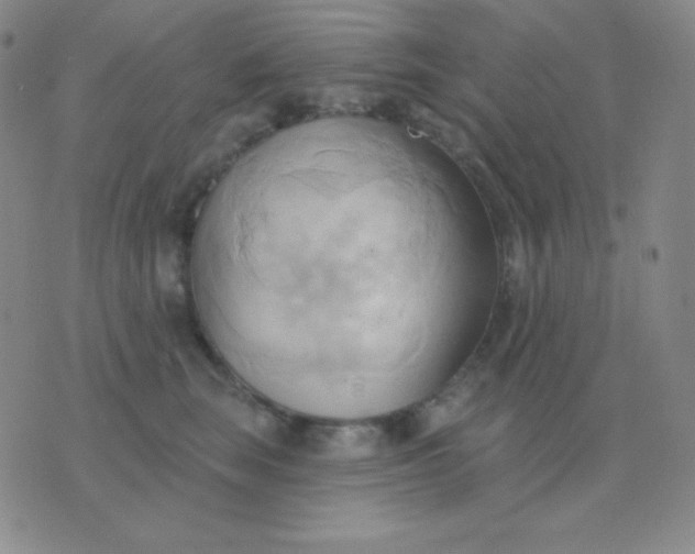 X0000076220663200610122051