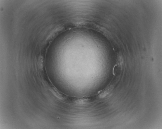 X0000076220664200610122051