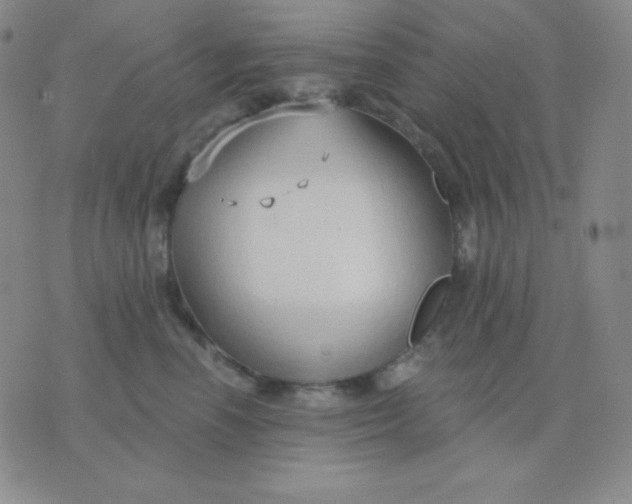 X0000076220666200610122051