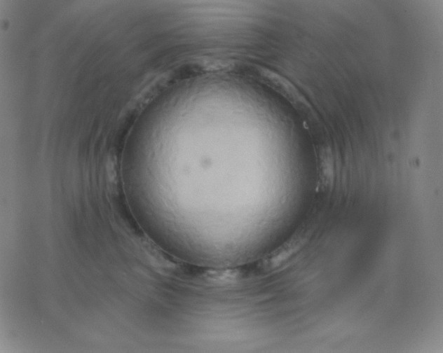 X0000076220667200610122051