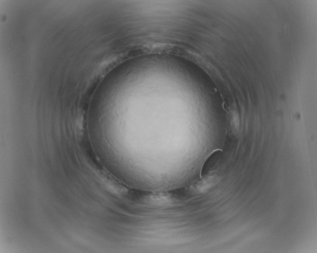 X0000076220668200610122051