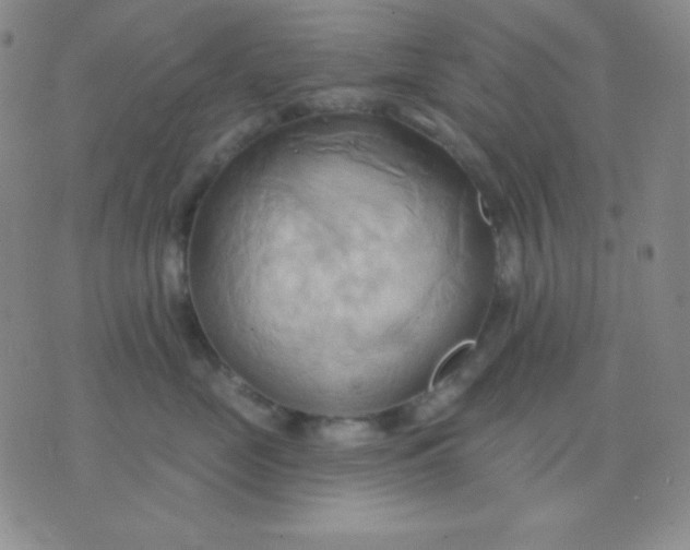 X0000076220669200610122051