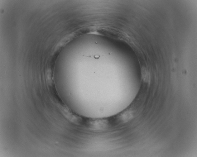 X0000076220670200610122051