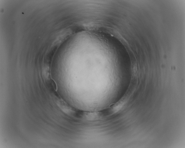 X0000076220671200610122051