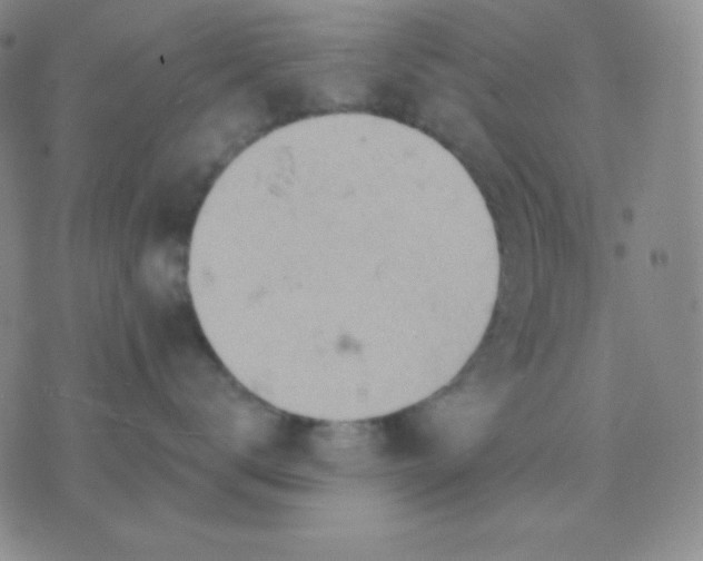 X0000076220672200610122051