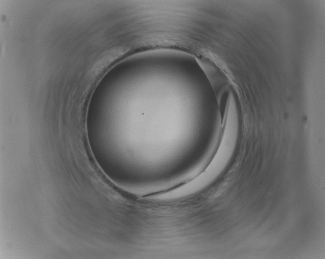 X0000076220673200610122051