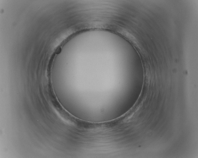 X0000076220674200610122050