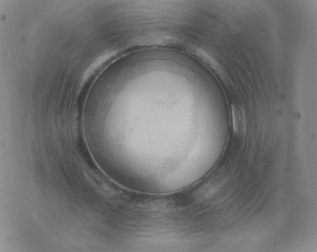 X0000076220675200610122050