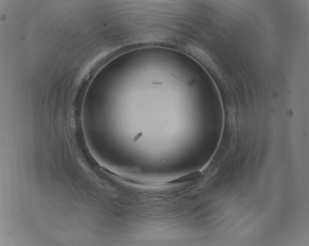 X0000076220676200610122050