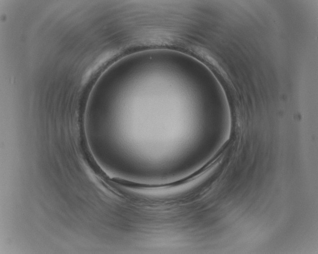 X0000076220677200610122050