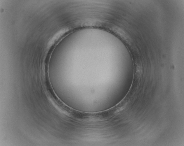 X0000076220678200610122050