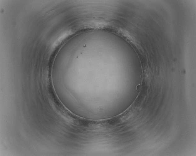 X0000076220679200610122050