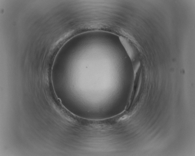 X0000076220681200610122050