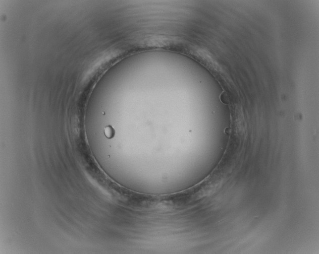 X0000076220683200610122050