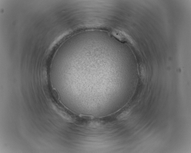 X0000076220684200610122050