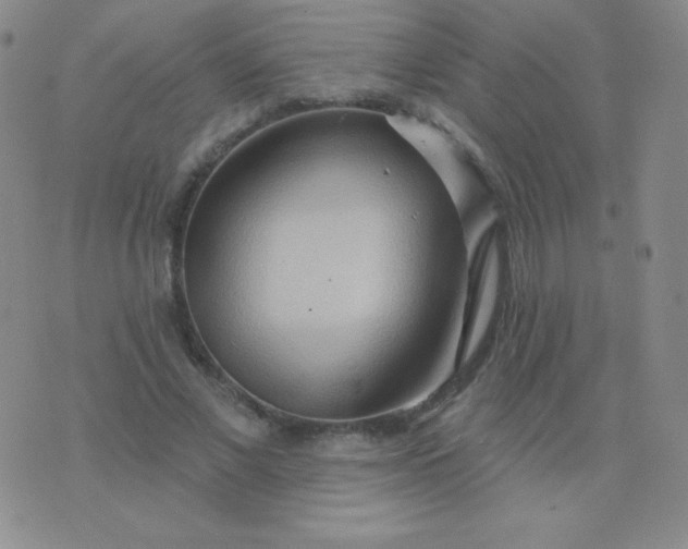 X0000076220685200610122050