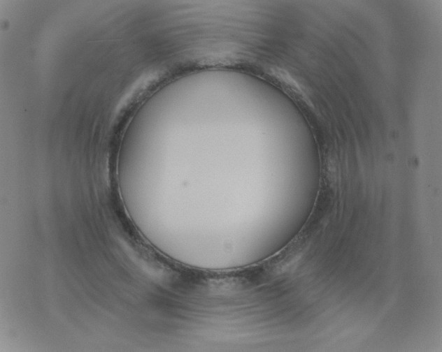 X0000076220686200610122050