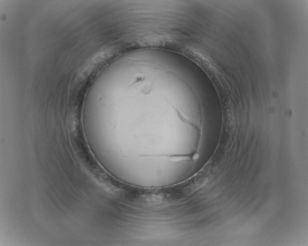 X0000076220687200610122050