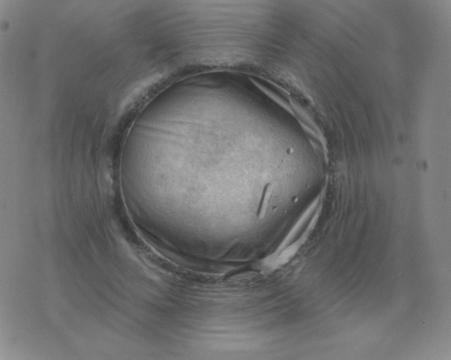 X0000076220688200610122050