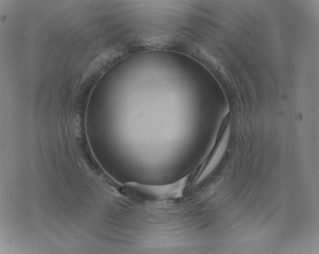 X0000076220689200610122050