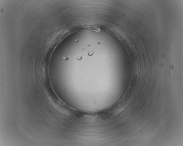 X0000076220690200610122050