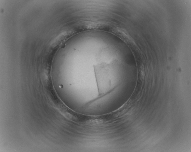 X0000076220691200610122050